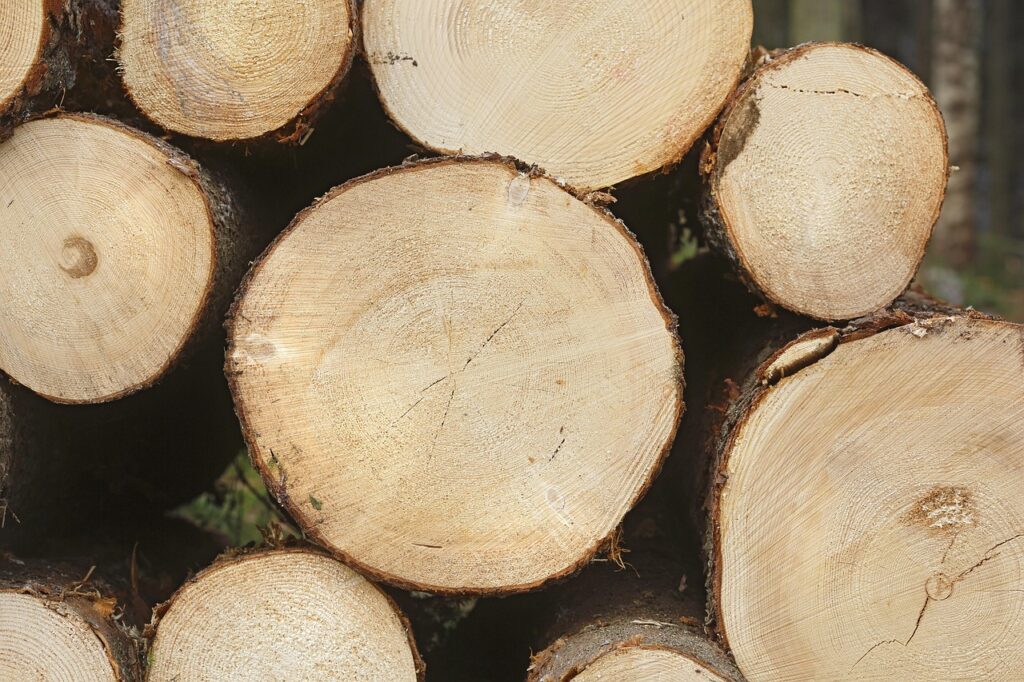 SPF Wood